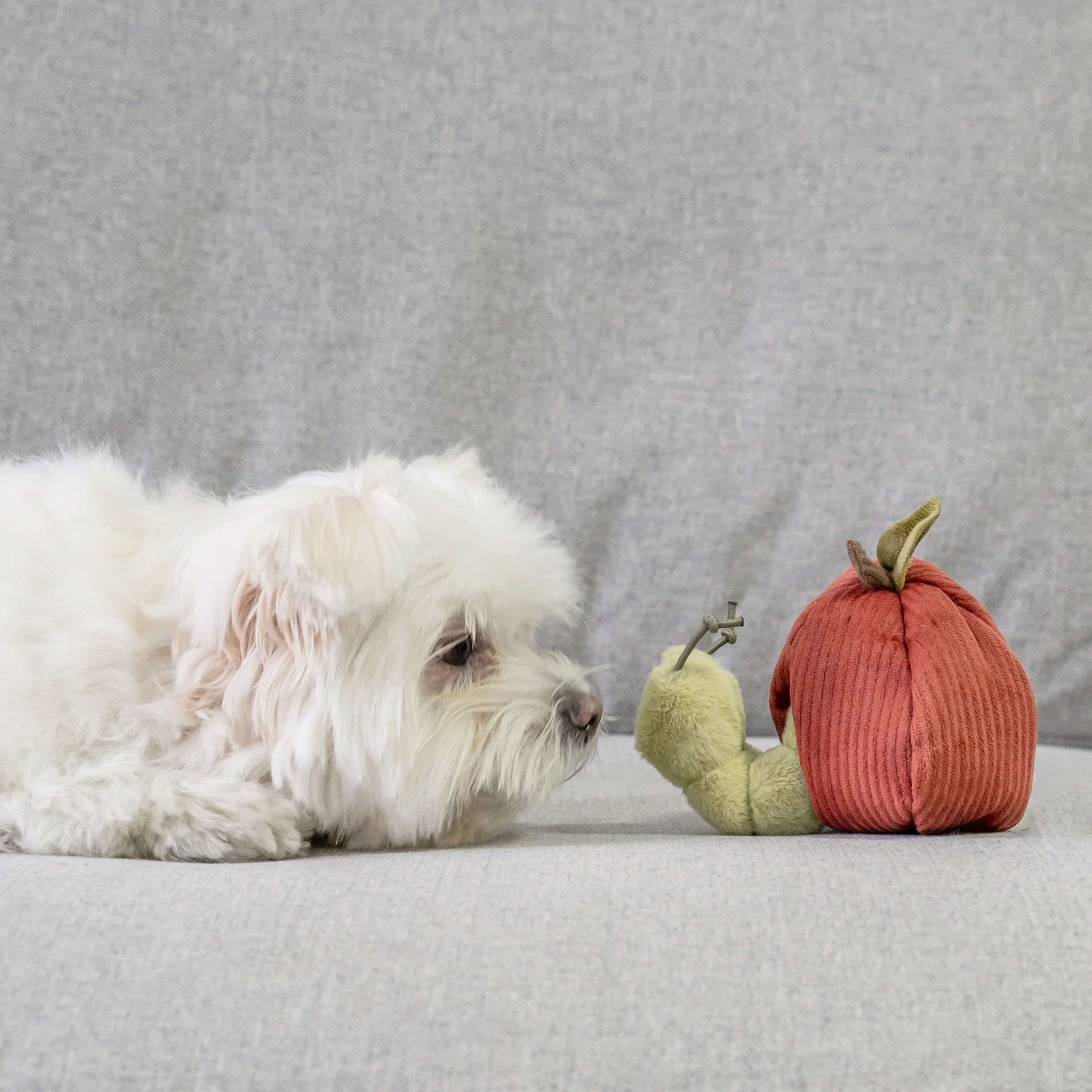 Lambwolf Collective Apple & Caterpillar Soft Enrichment Toy for Dogs - Image 3