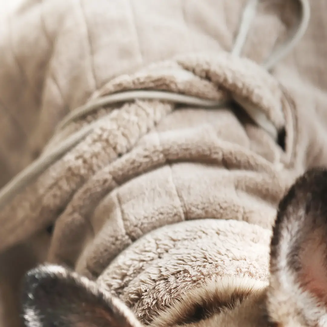 Lambwolf Collective Baby Fleece Bathrobe for Dogs - Image 6