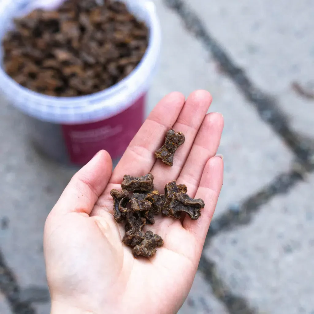 Buddy Venison Training Snacks - 100g - Image 2
