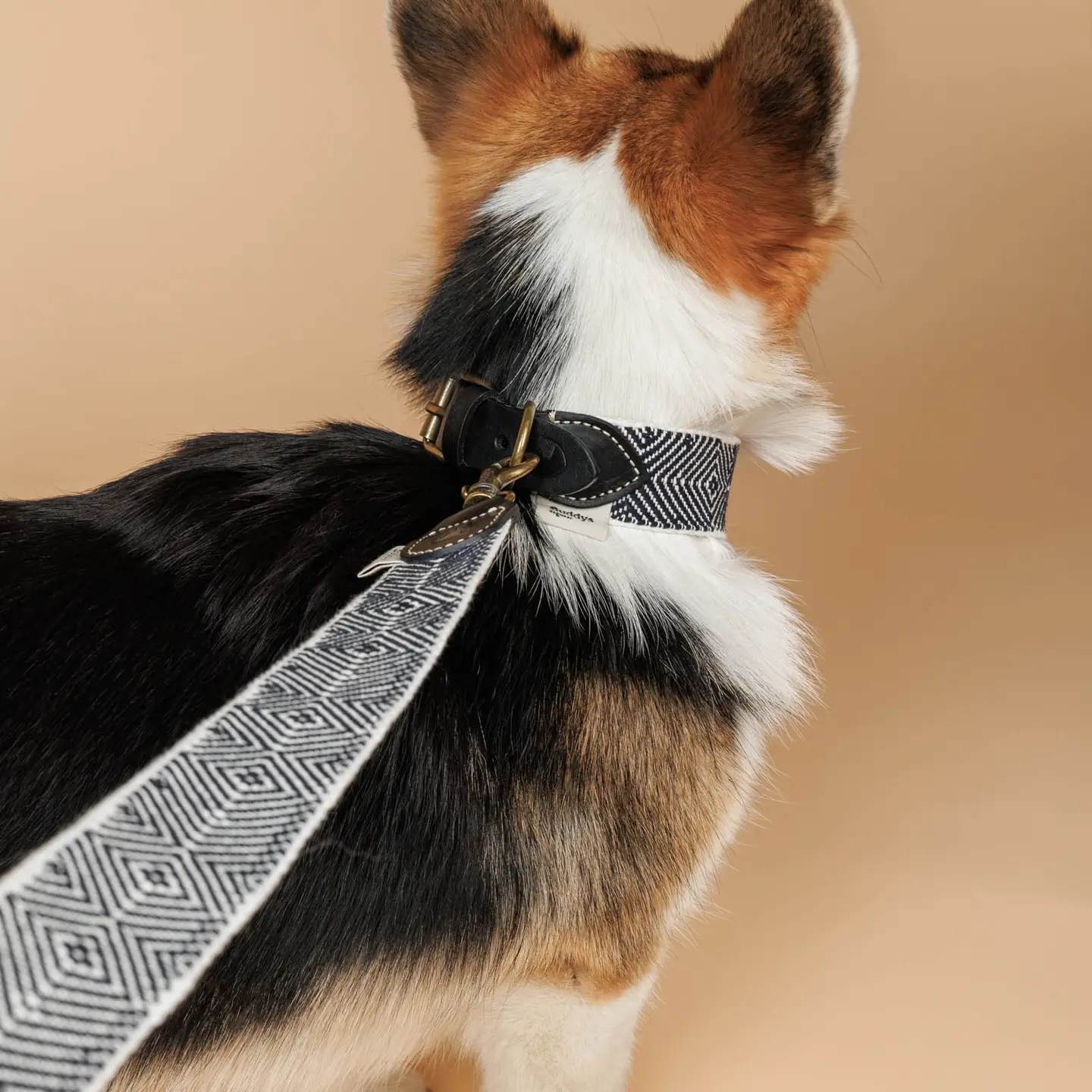 Buddys Dogwear Capri Party Night Dog Lead - Image 2