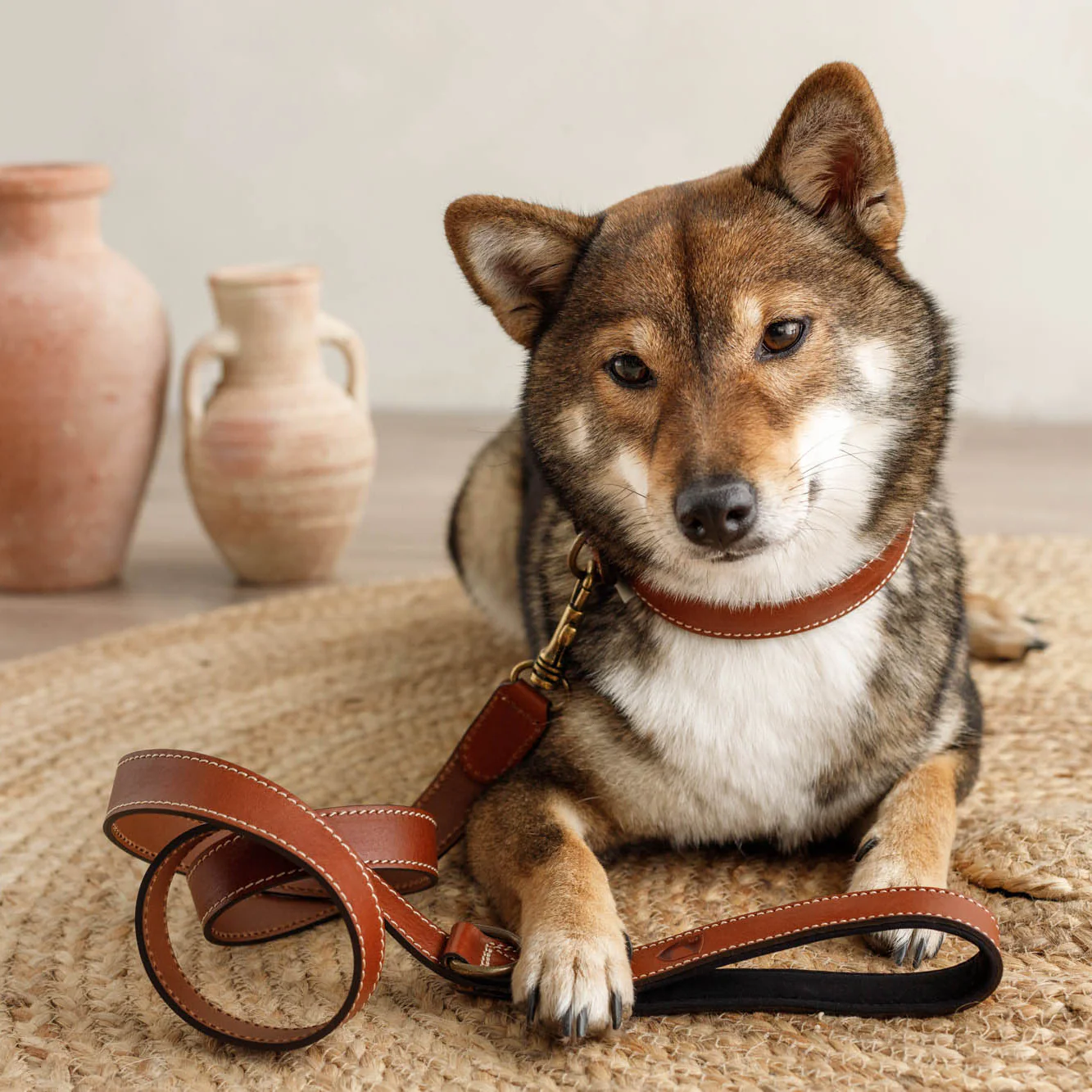 Buddys Dogwear Neo Leather Dog Lead