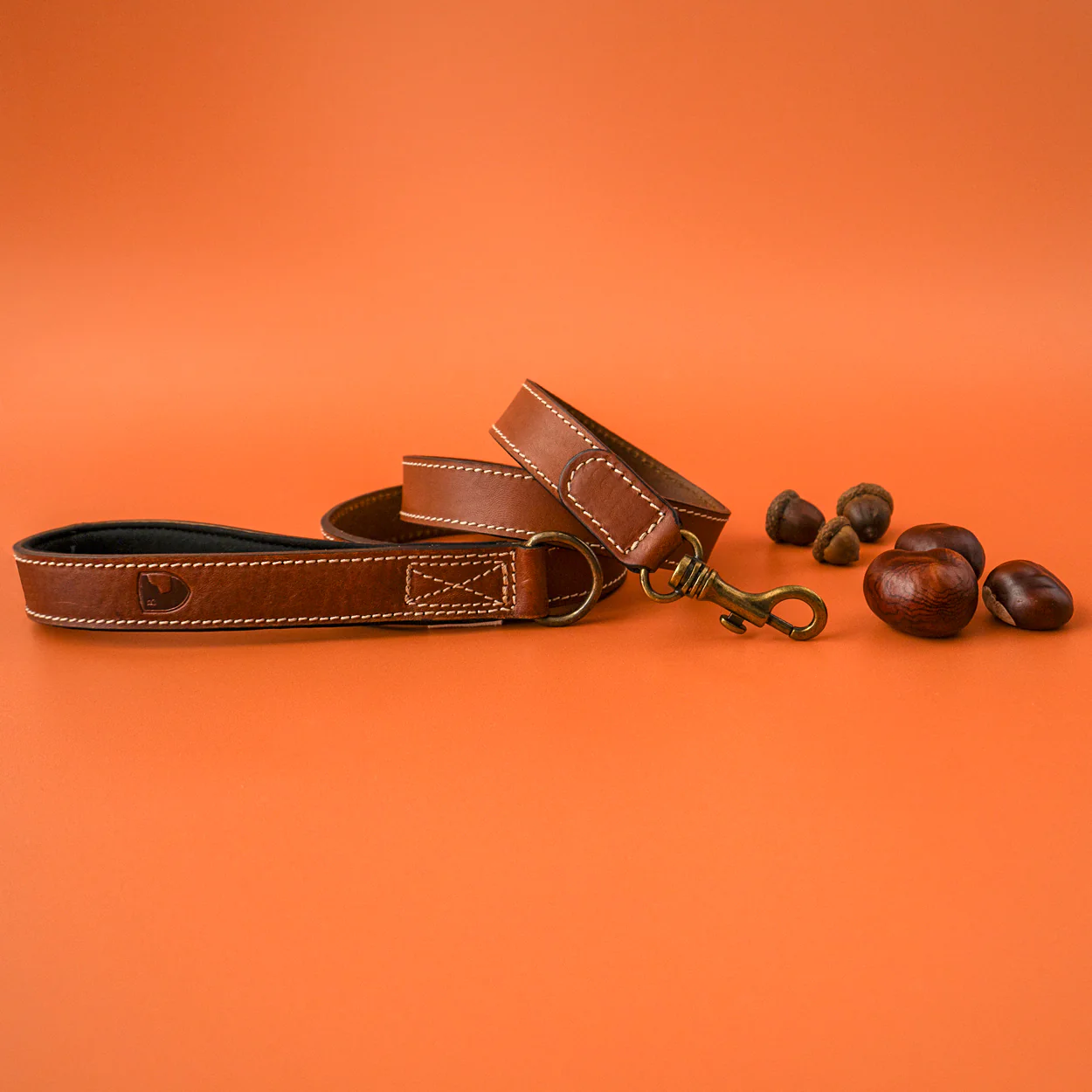 Buddys Dogwear Neo Leather Dog Lead - Image 4