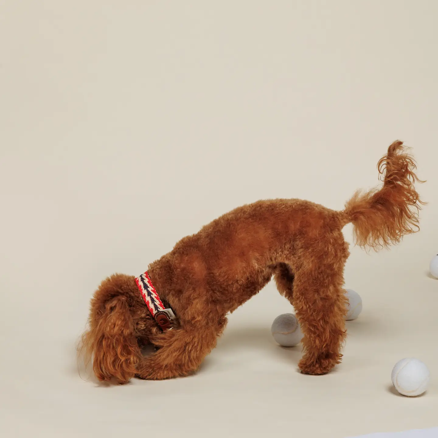 Buddys Dogwear Petite Peruvian Arrow Red Dog Collar - Image 3