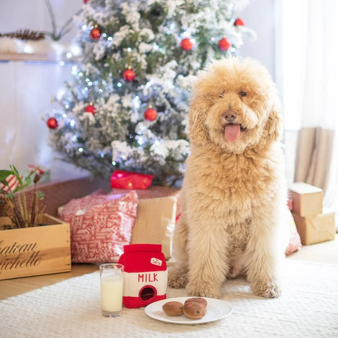 ZippyPaws Christmas Burrow Dog Toy - Santa's Milk and Cookies - Image 3