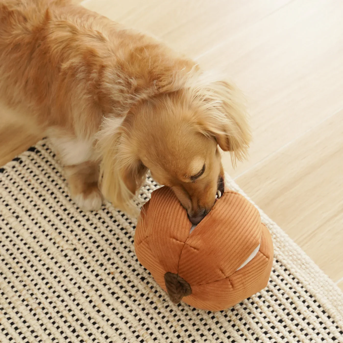 Lambwolf Collective Cinderella Halloween Pumpkin Soft Snuffle Enrichment Toy for Dogs - Image 2