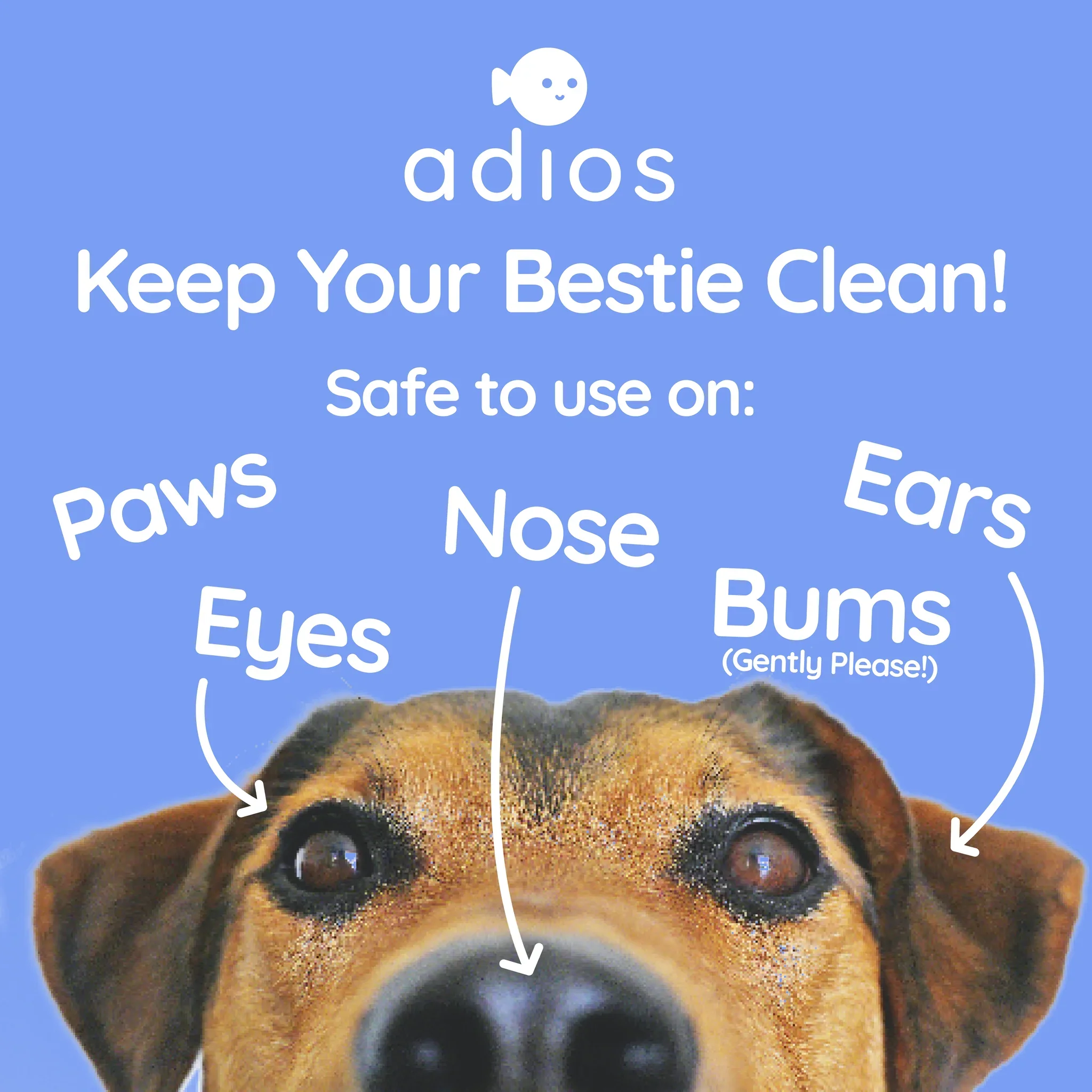 Adios Plastic Compostable Pet Wipes - 25 Per Pack - Image 2