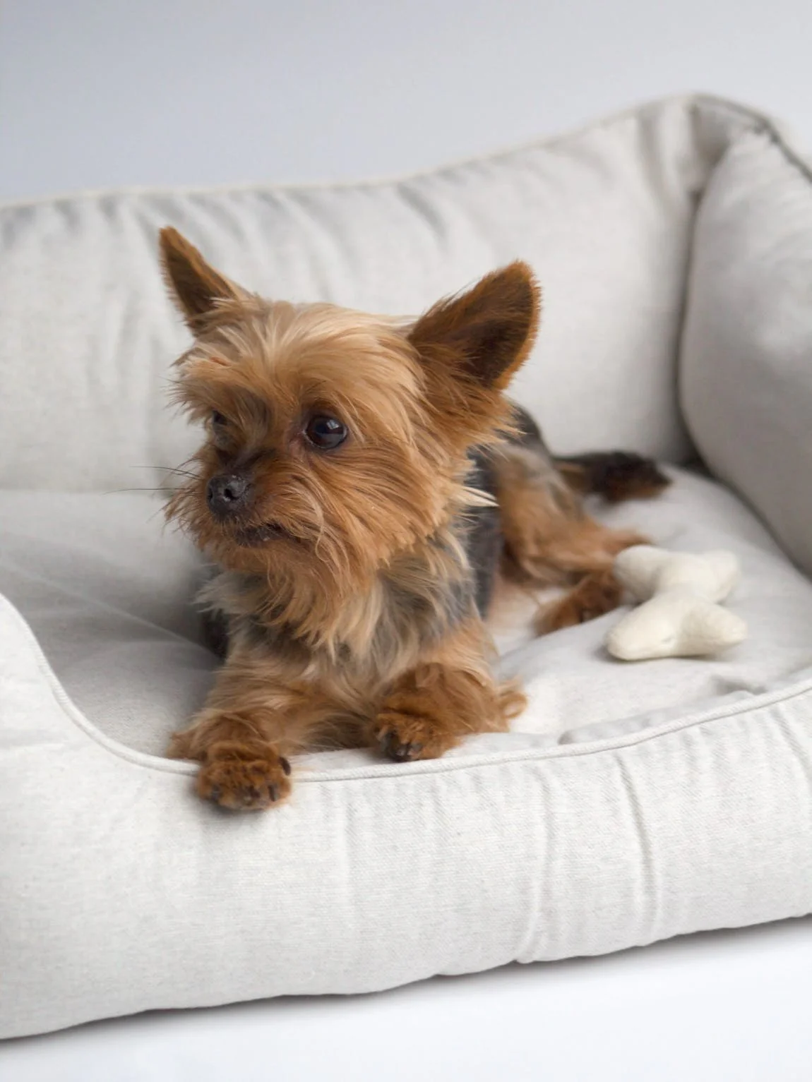 Small Nest Dog Bed in Taupe - Layzy - Image 4