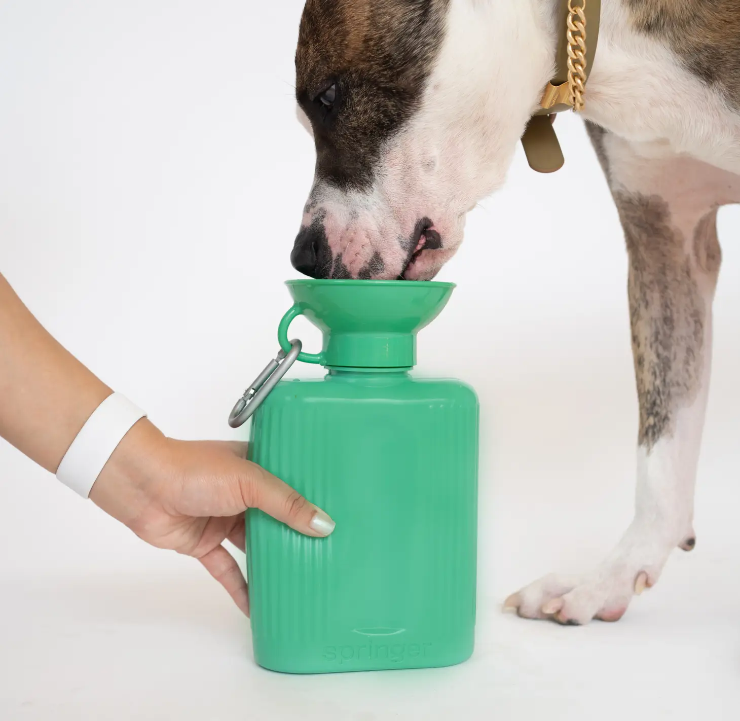 Dog Water Travel Bottle - Large - Image 5