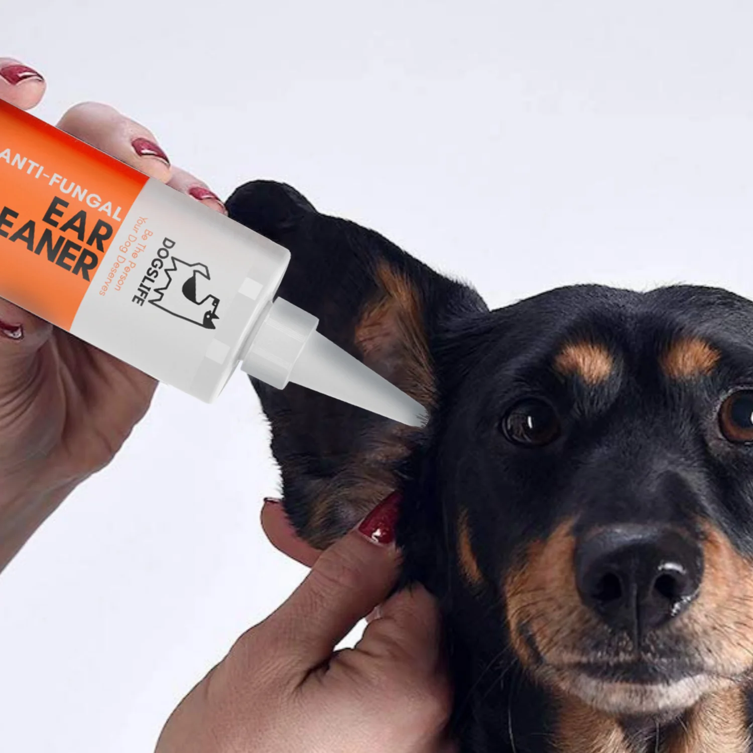 DogsLife Anti-fungal Ear Cleaner for Dogs - Image 3