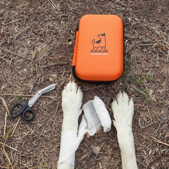 DogsLife First Aid Kit for Pets - Image 5