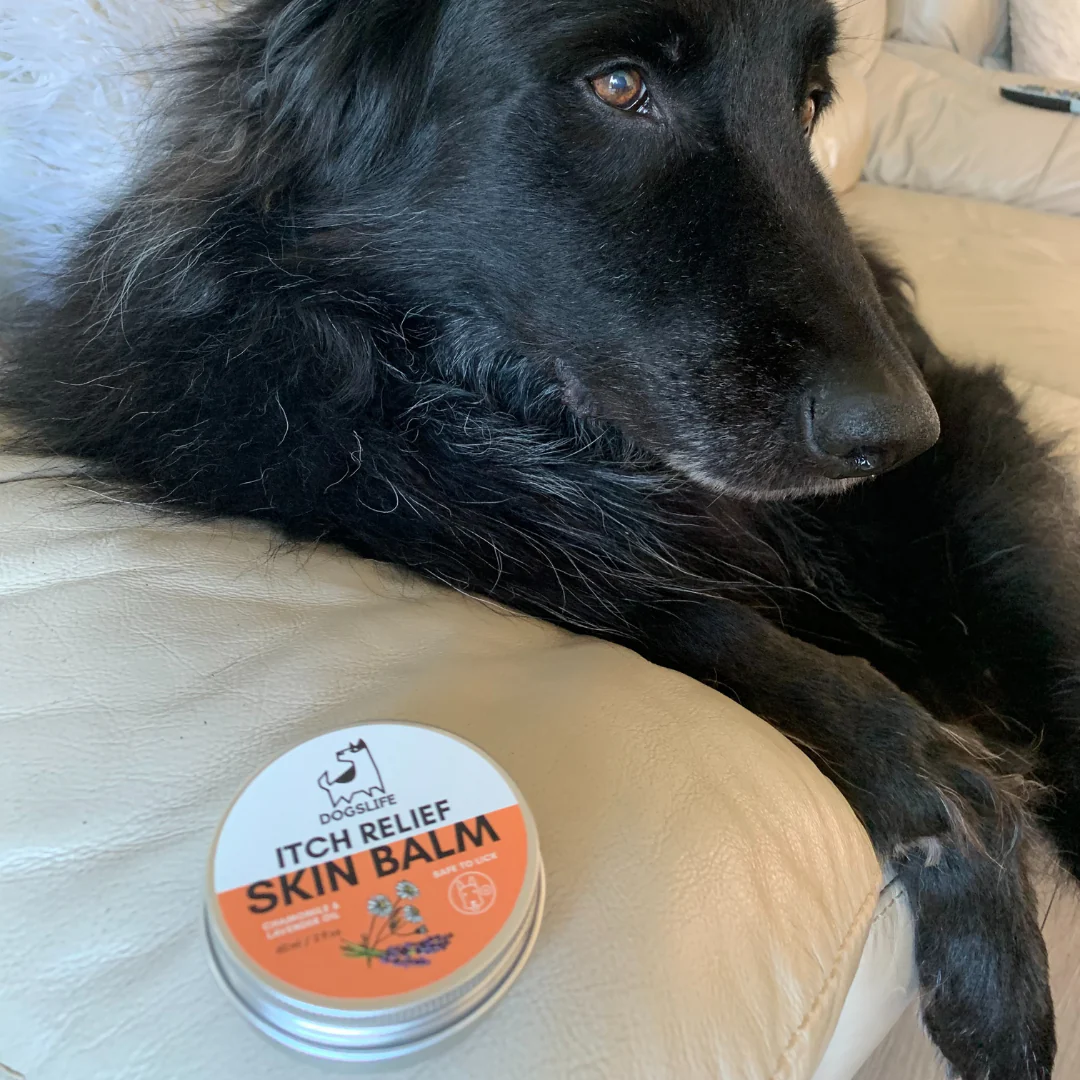 DogsLife Itch Relief Skin Balm for Dogs - Image 3