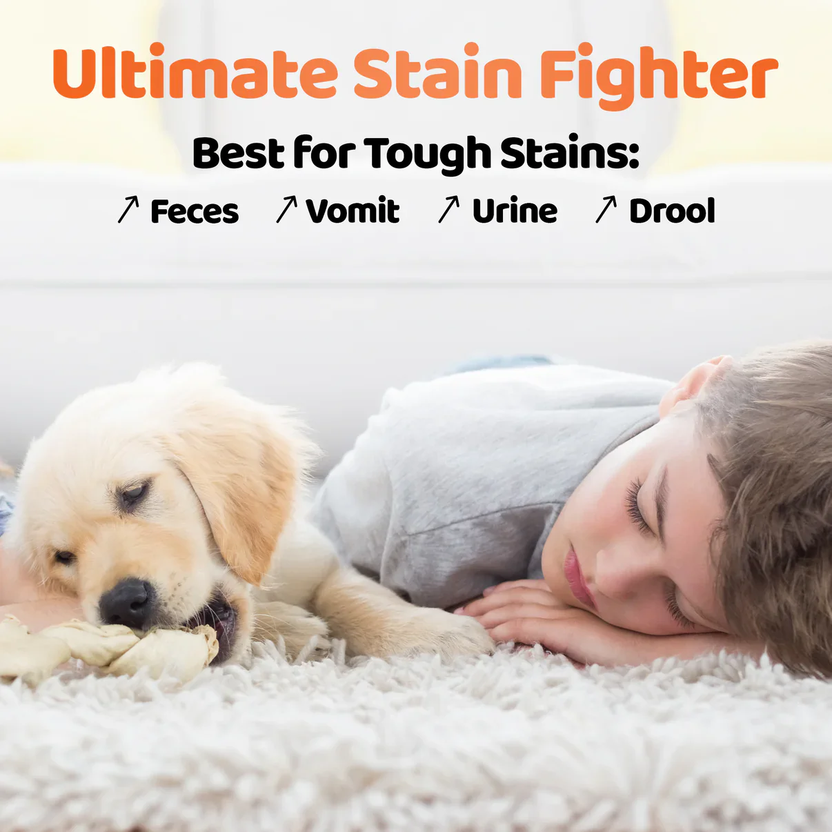 DogsLife Pet Carpet Cleaner Urine & Odour Spray - 250ml - Image 2