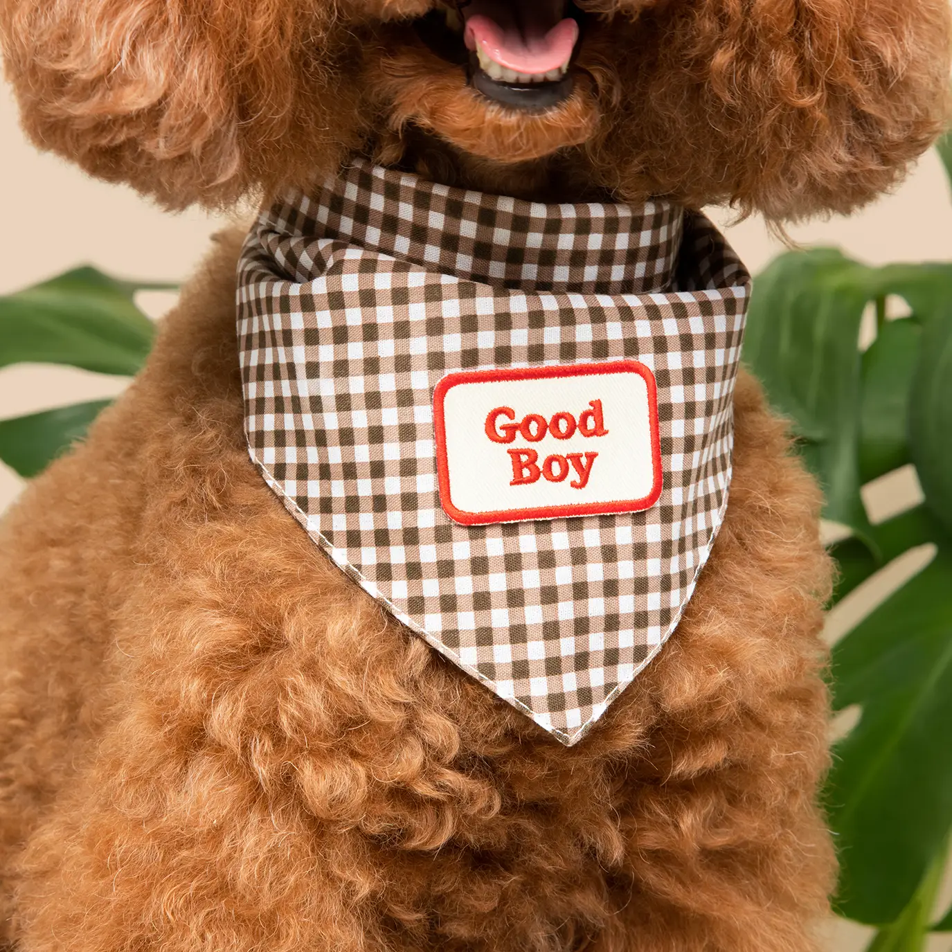 Scout's Honour, Good Boy, Iron-On Patch for Pets - Image 5
