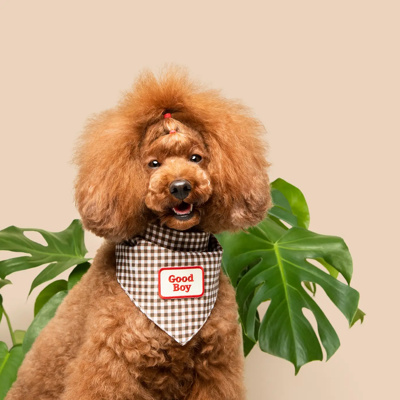 Scout's Honour, Good Boy, Iron-On Patch for Pets - Image 6
