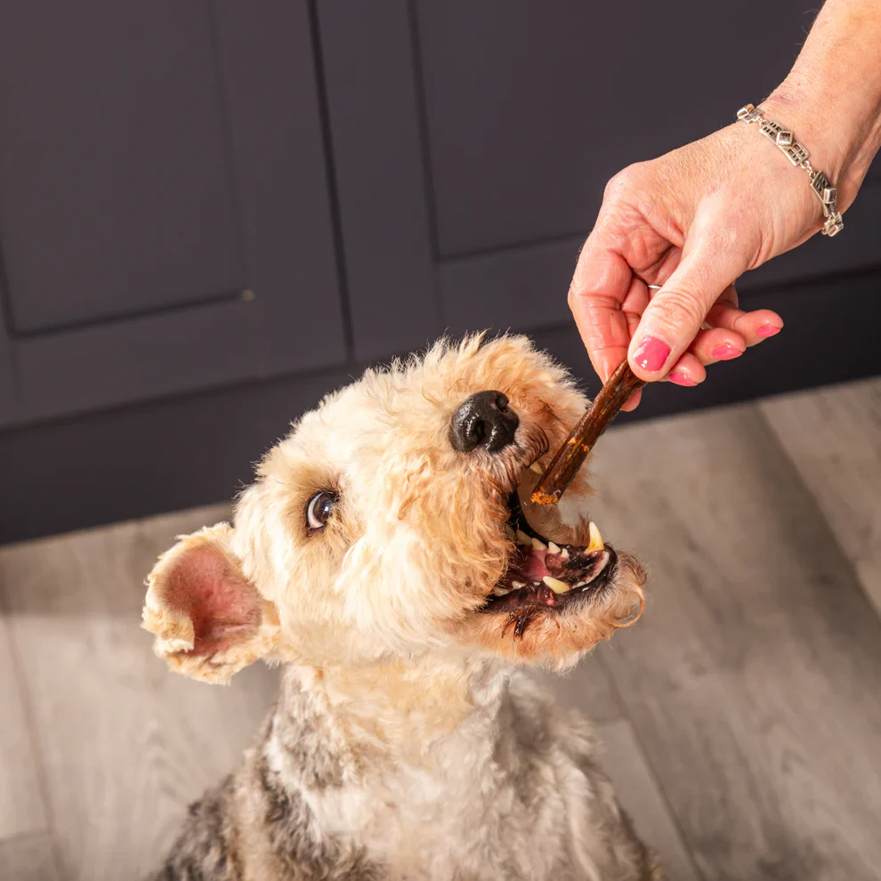 WOOOF Gourmet Turkey Sticks Natural Dog Chews & Treats - 200g - Image 2