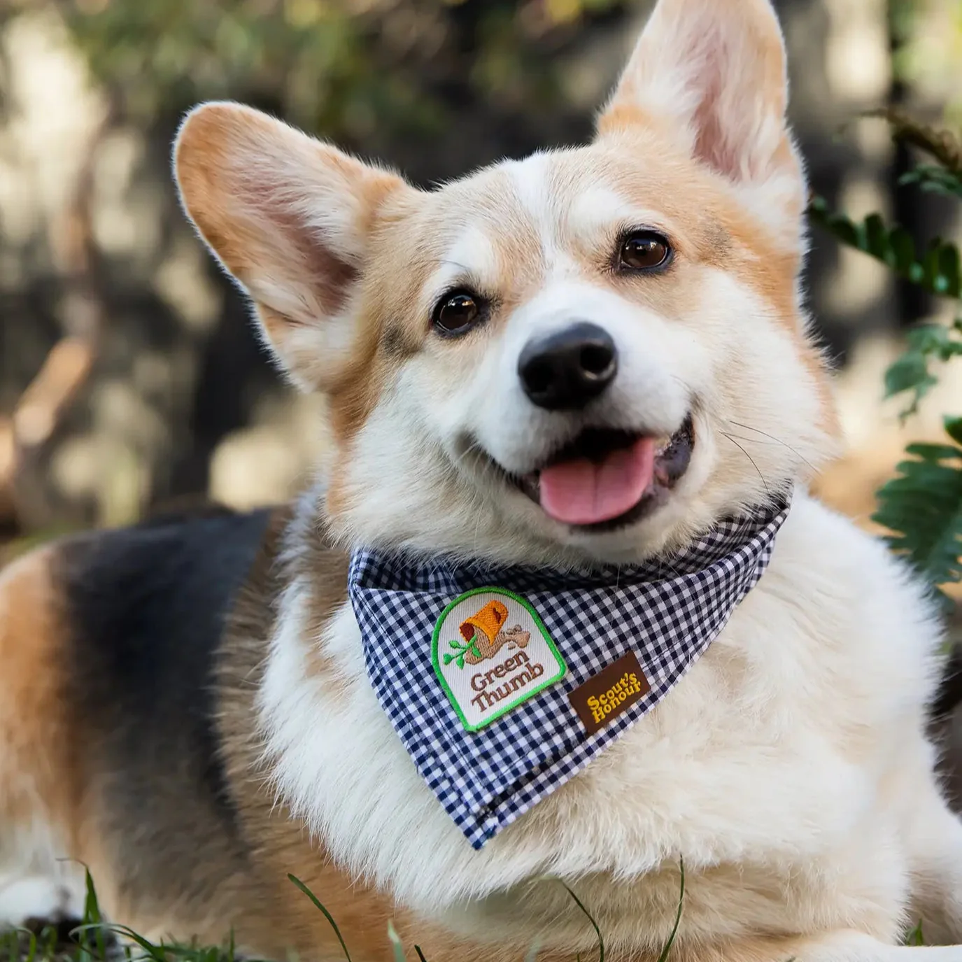 Scout's Honour, Green Thumb, Iron-On Patch for Pets - Image 3