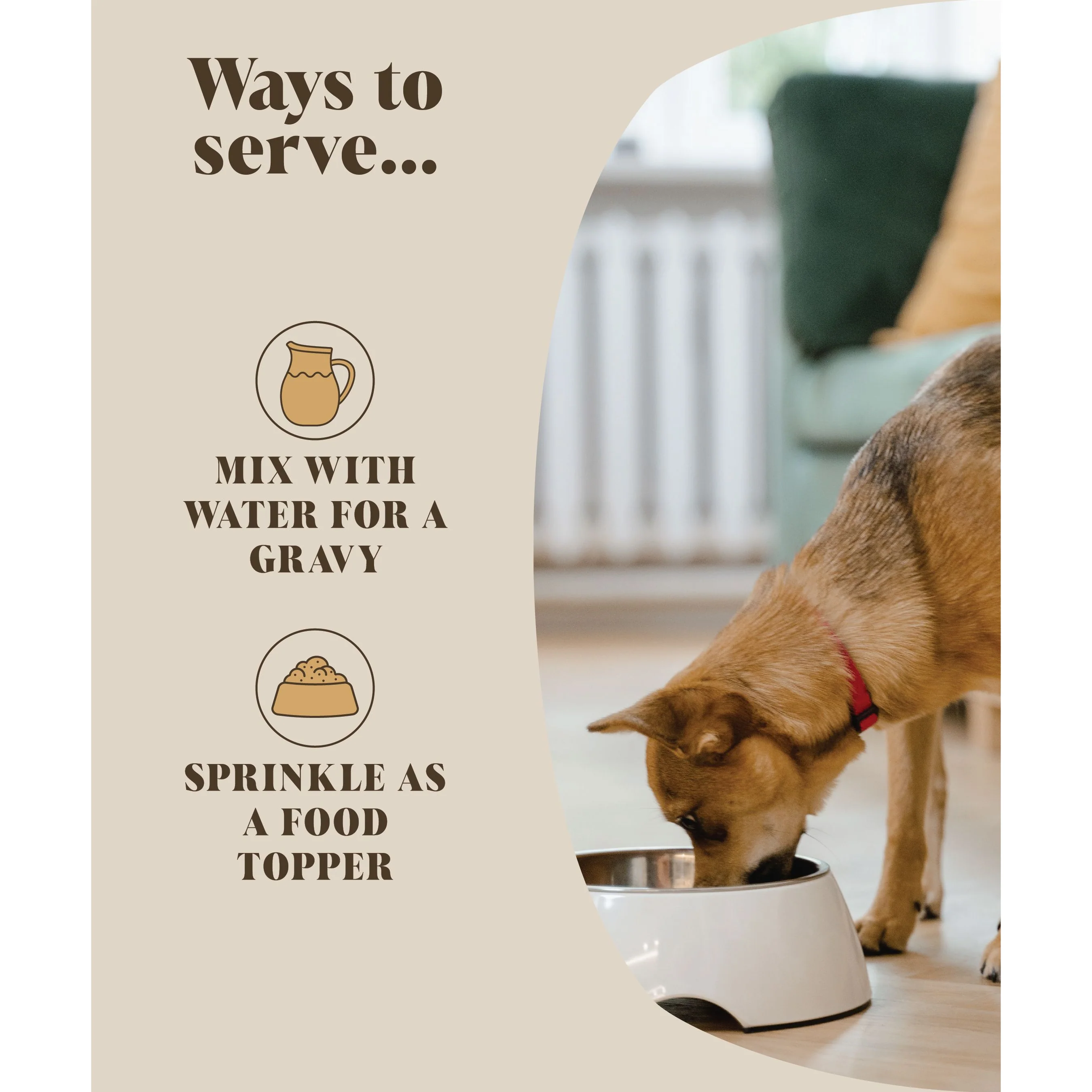 Hackney Dog House Chicken Bone Broth Gravy Food Topper for Dogs & Cats - Image 2