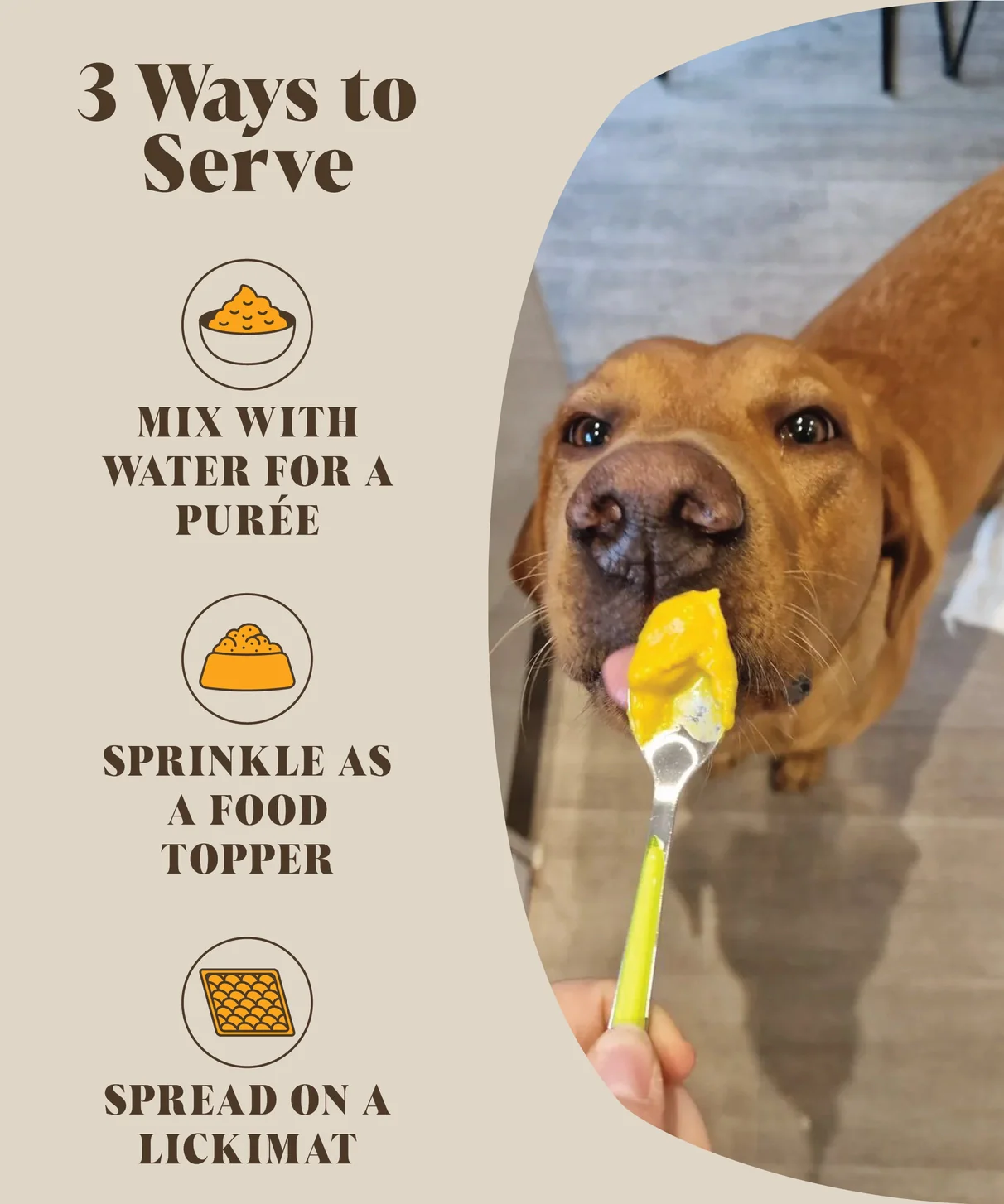 Hackney Dog House Pumpkin Pre & Probiotics Puree Powder for Dogs & Cats - Image 3