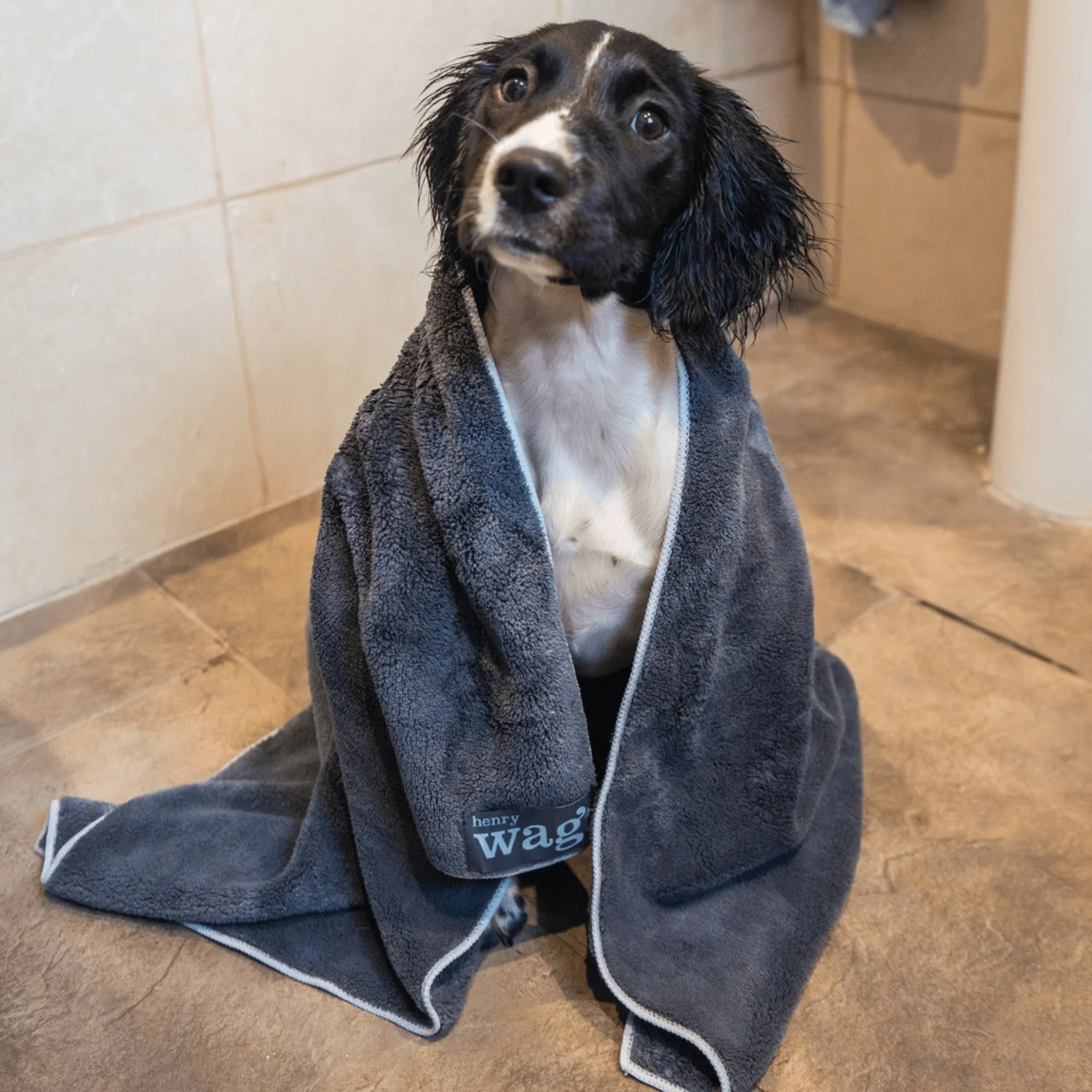 Henry Wag Microfibre Dog Towel - Image 8