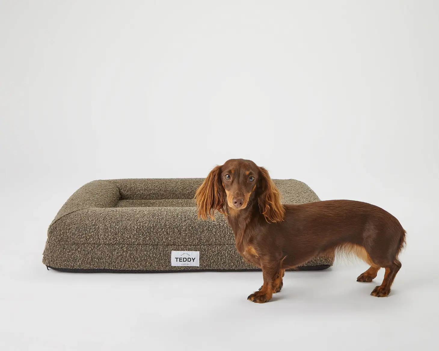 Khaki Boucle Fabric Bed for Dogs - S/M/L - Image 5