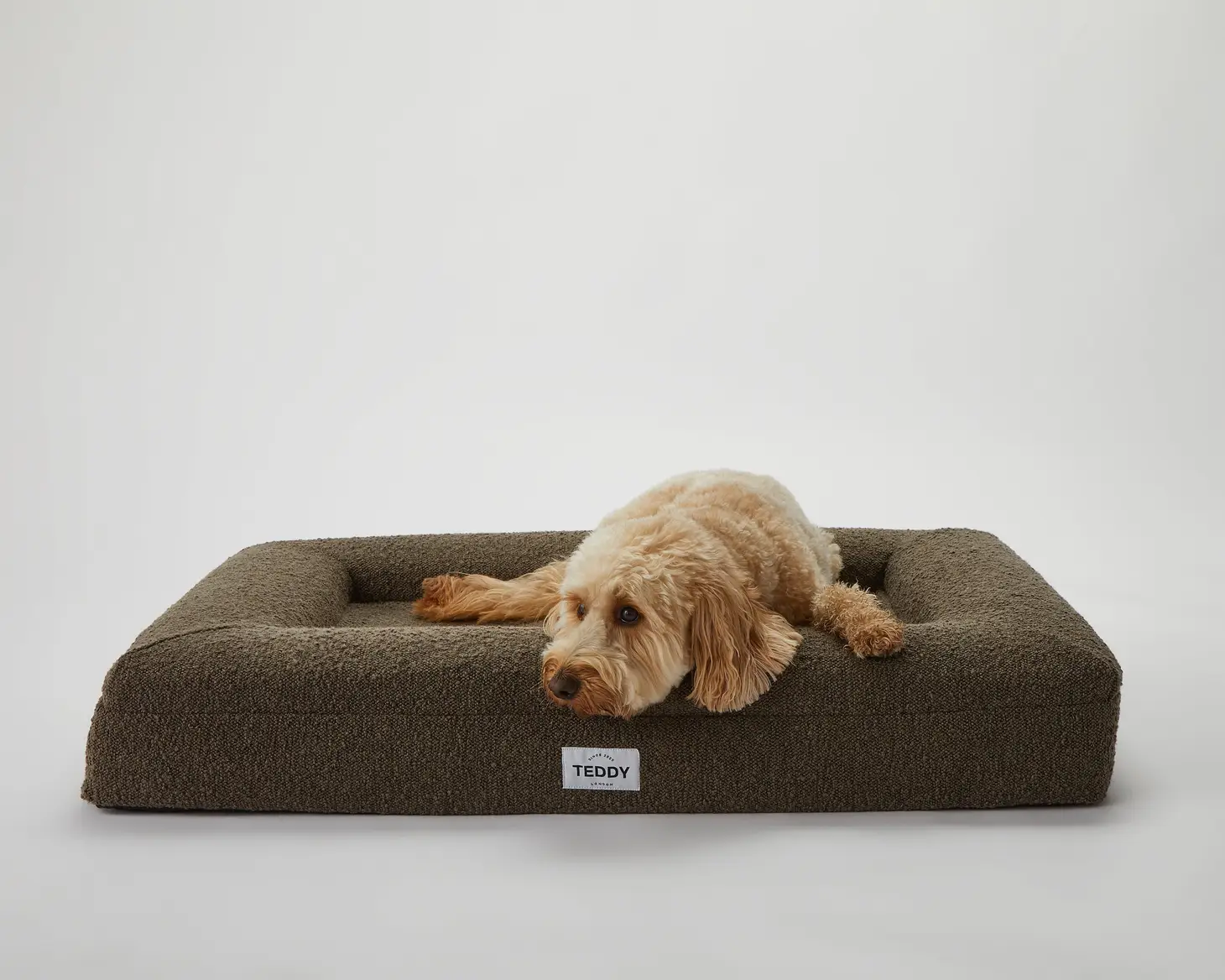 Khaki Boucle Fabric Bed for Dogs - S/M/L - Image 6