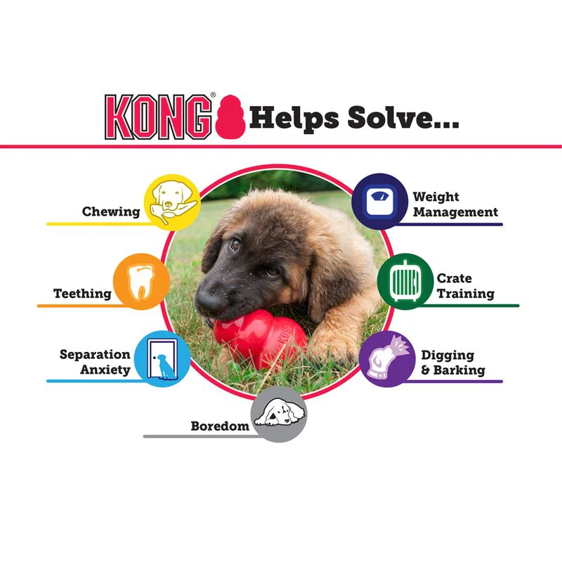 KONG Aqua on a Rope - Image 6