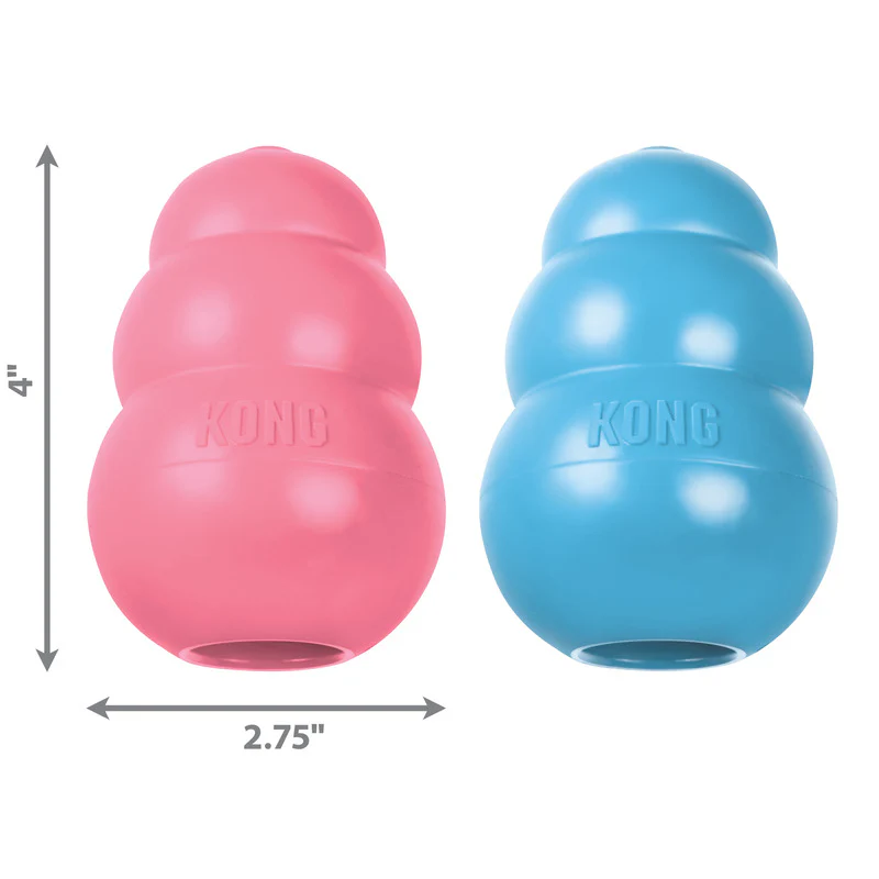 KONG Puppy - Image 11