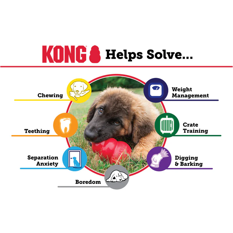 KONG Puppy - Image 3