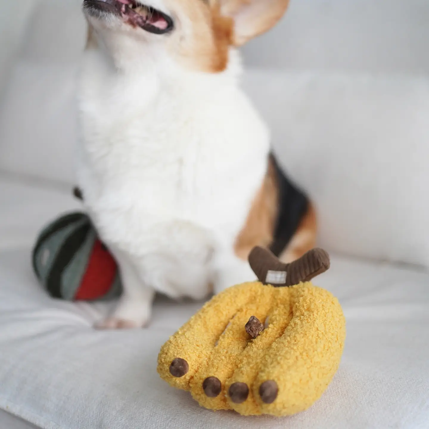 Lambwolf Collective Banana Snuffle Dog Toy - Image 5