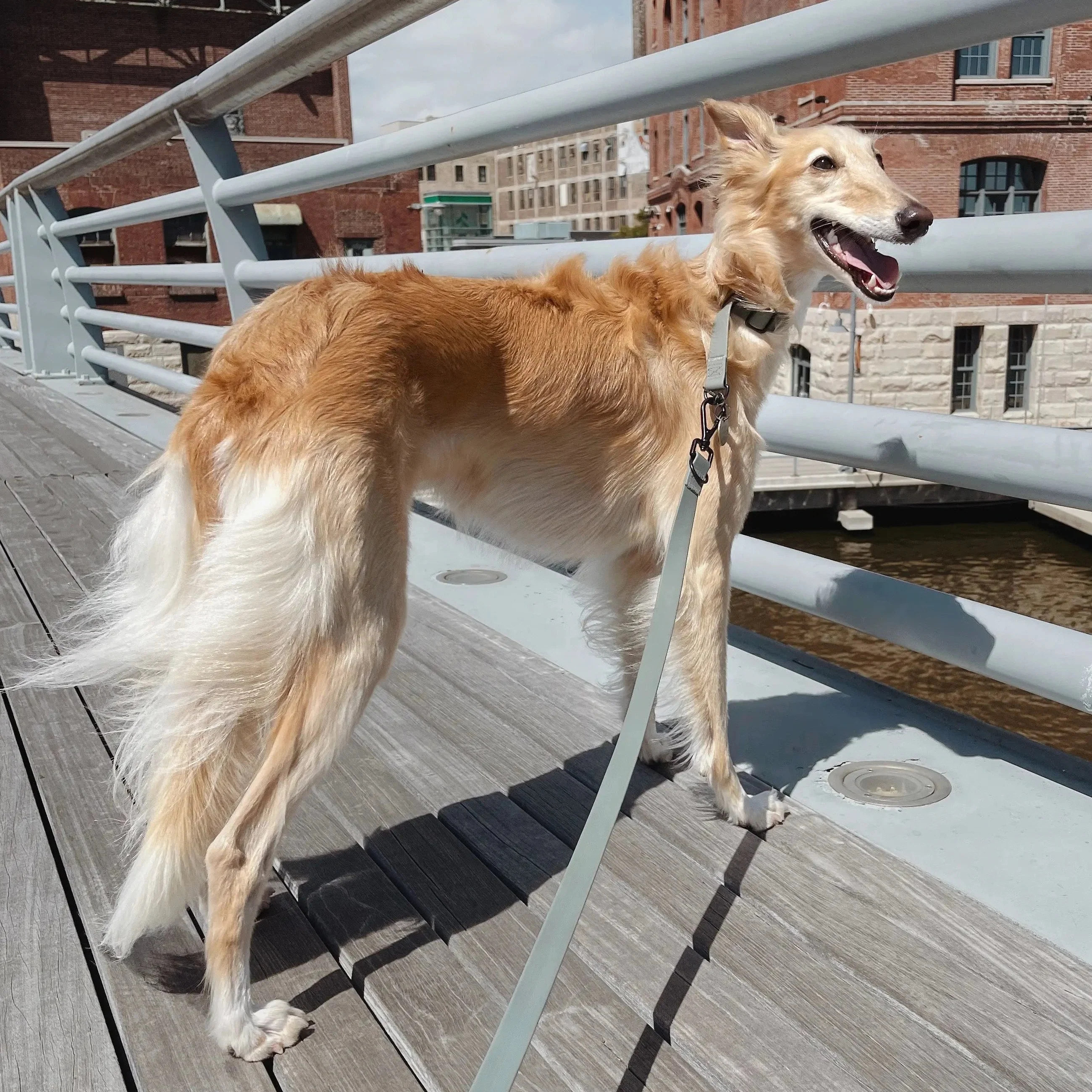 Lambwolf Collective MELLEM Narrow Adjustable Waterproof Lead for Dogs