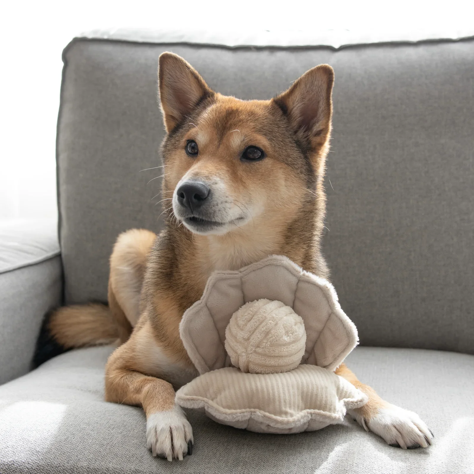 Lambwolf Collective Oyster Pop Snuffle & Burrow Dog Toy - Image 2