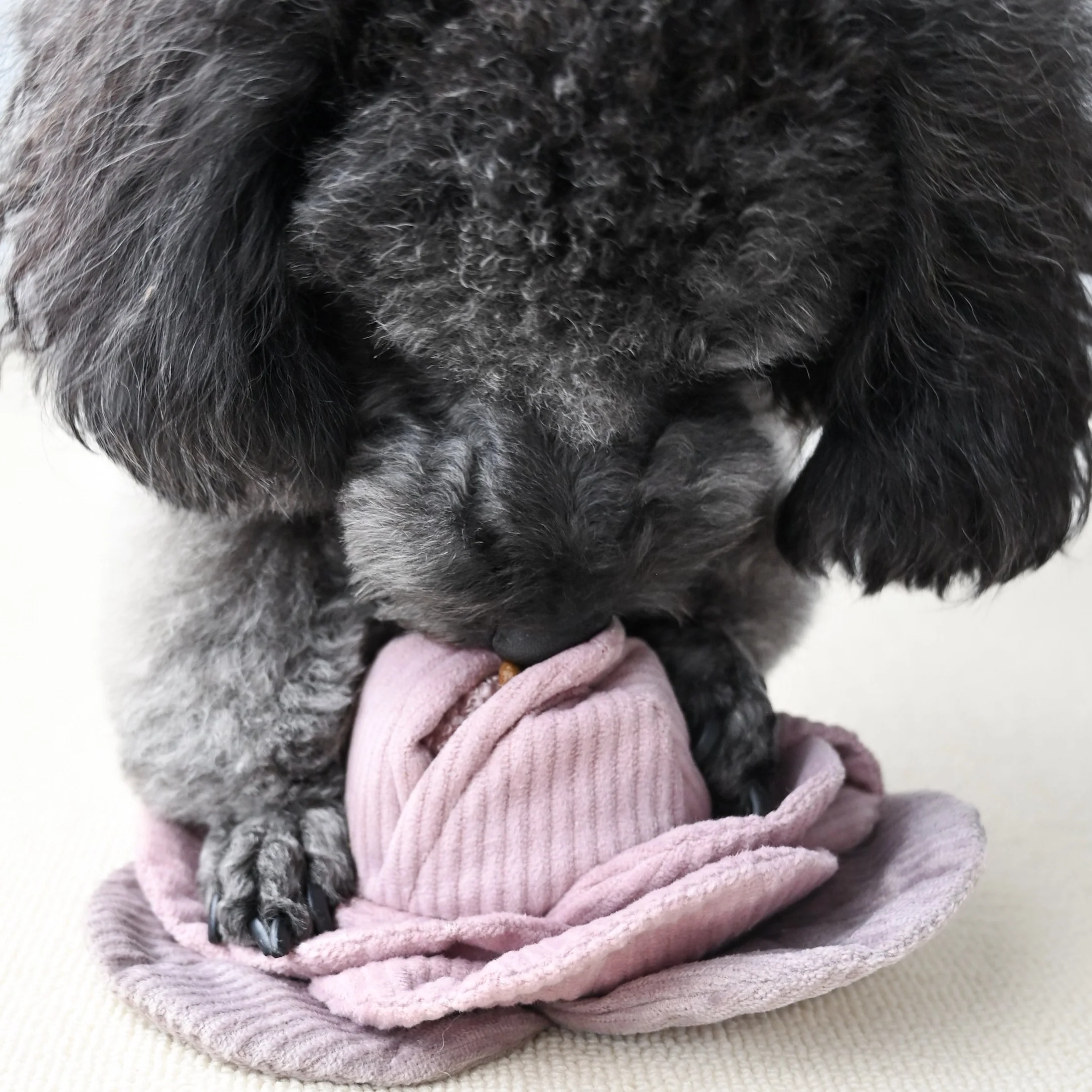 Lambwolf Collective Red Cabbage Pop Snuffle Toy - Image 3