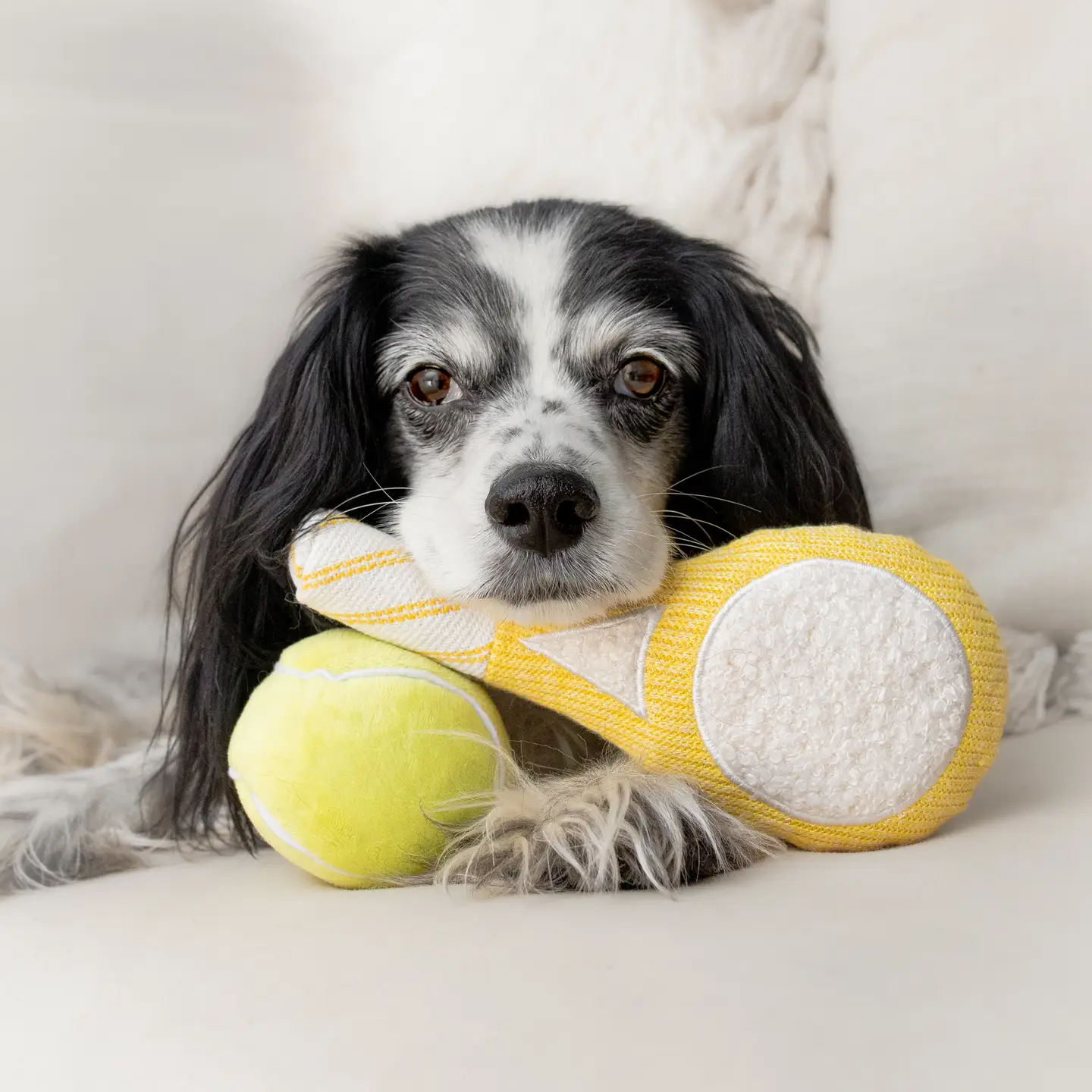 Lambwolf Collective Tennis Dog Toy Set - Image 3