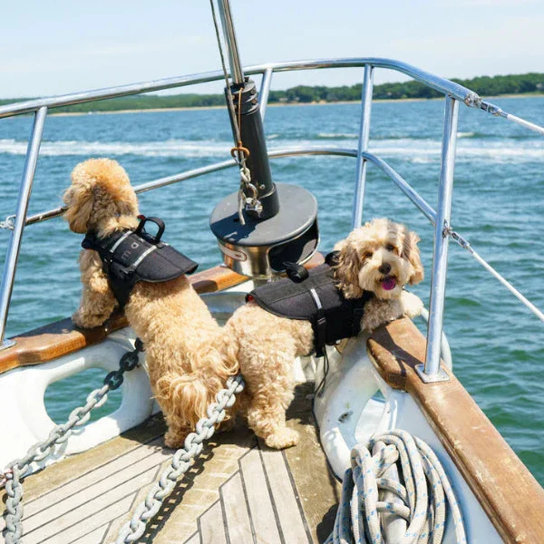 Life Jacket for Dogs - Image 2