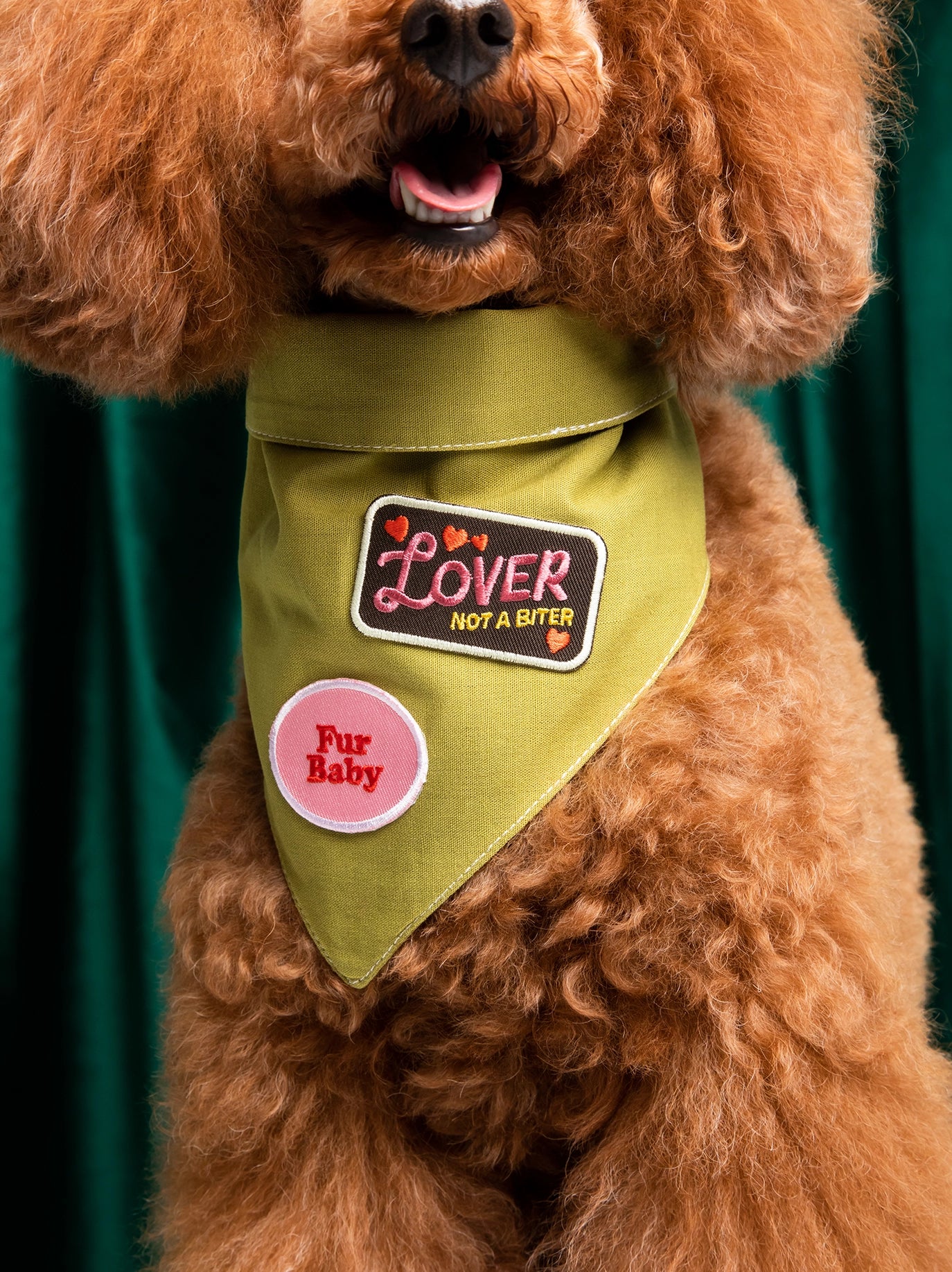 Scout's Honour, Lover Not a Biter, Iron-On Patch for Pets - Image 4