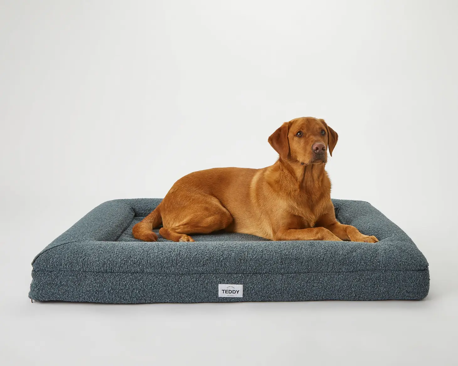 Navy Boucle Fabric Bed for Dogs - S/M/L - Image 7