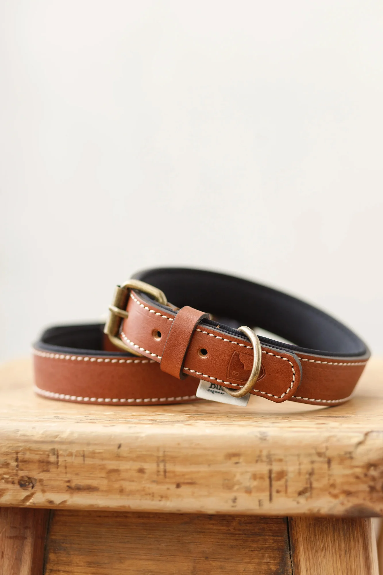Buddys Dogwear Neo Leather Dog Collar - Image 7