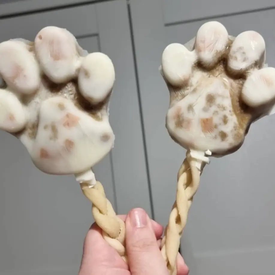 No Fuss Fill Dog Ice Lolly Pawsicle Mould - Image 4