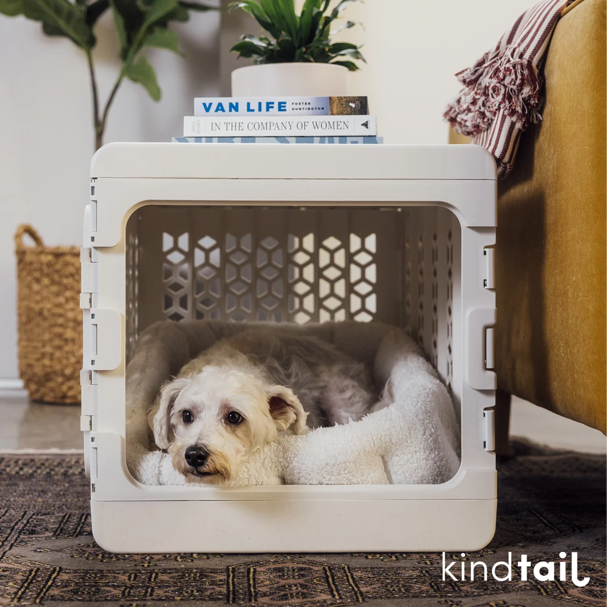 KindTail Pawd® Modern White Collapsible Plastic Dog & Pet Crate - Image 5