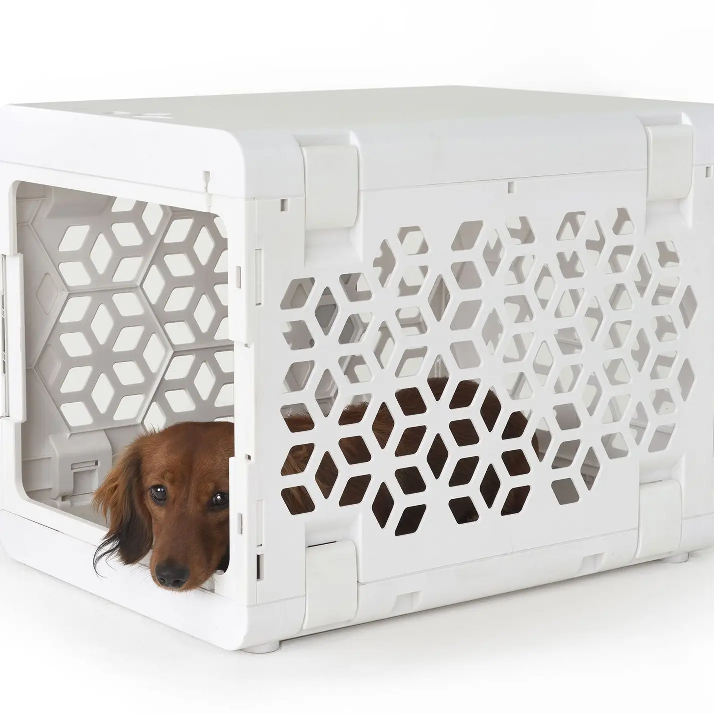 KindTail Pawd® Modern White Collapsible Plastic Dog & Pet Crate - Image 8