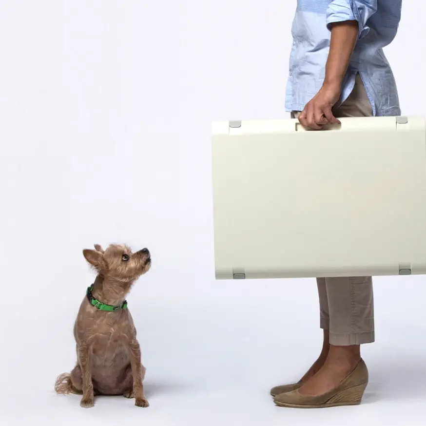 KindTail Pawd® Modern White Collapsible Plastic Dog & Pet Crate - Image 9