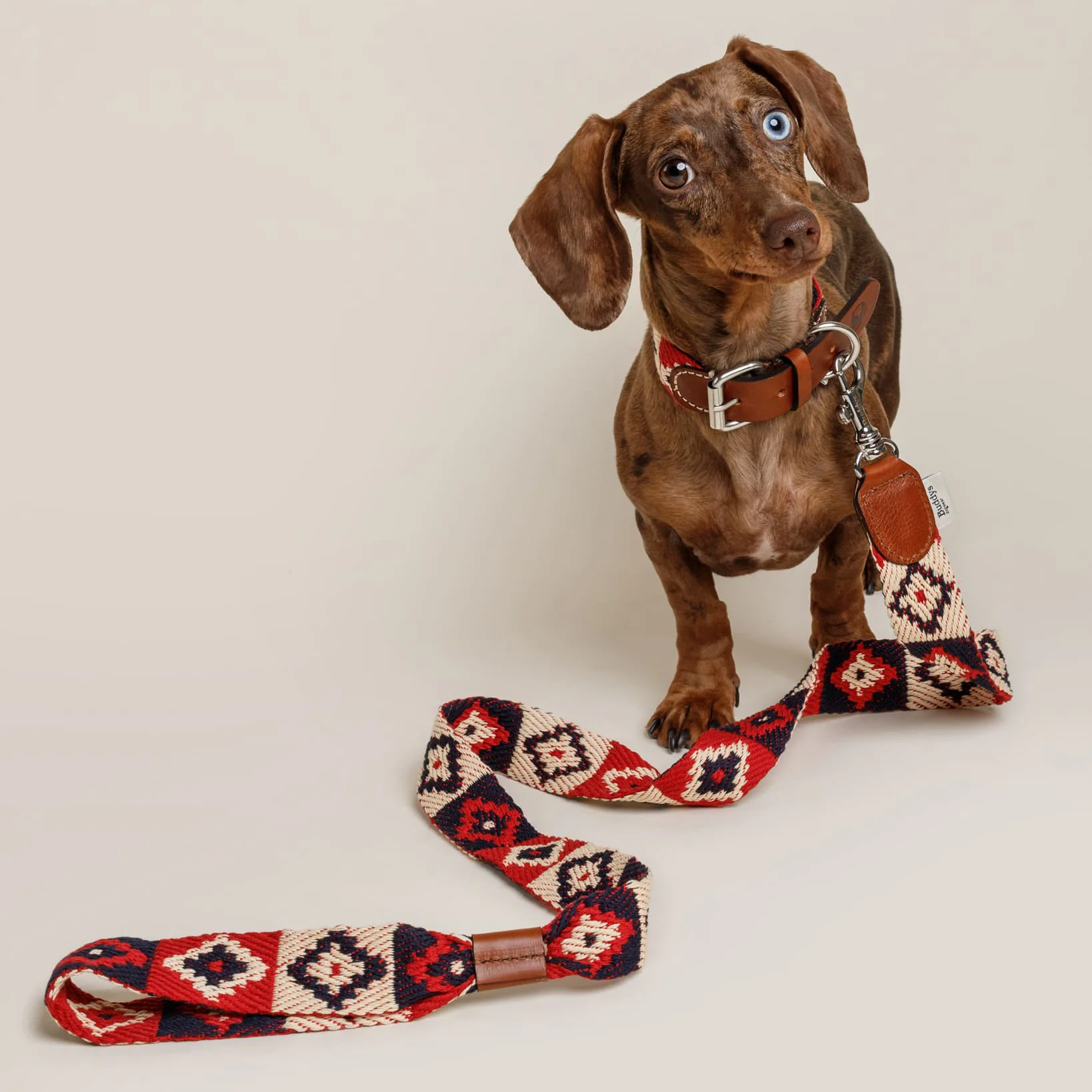 Buddys Dogwear Peruvian Indian Dog Lead