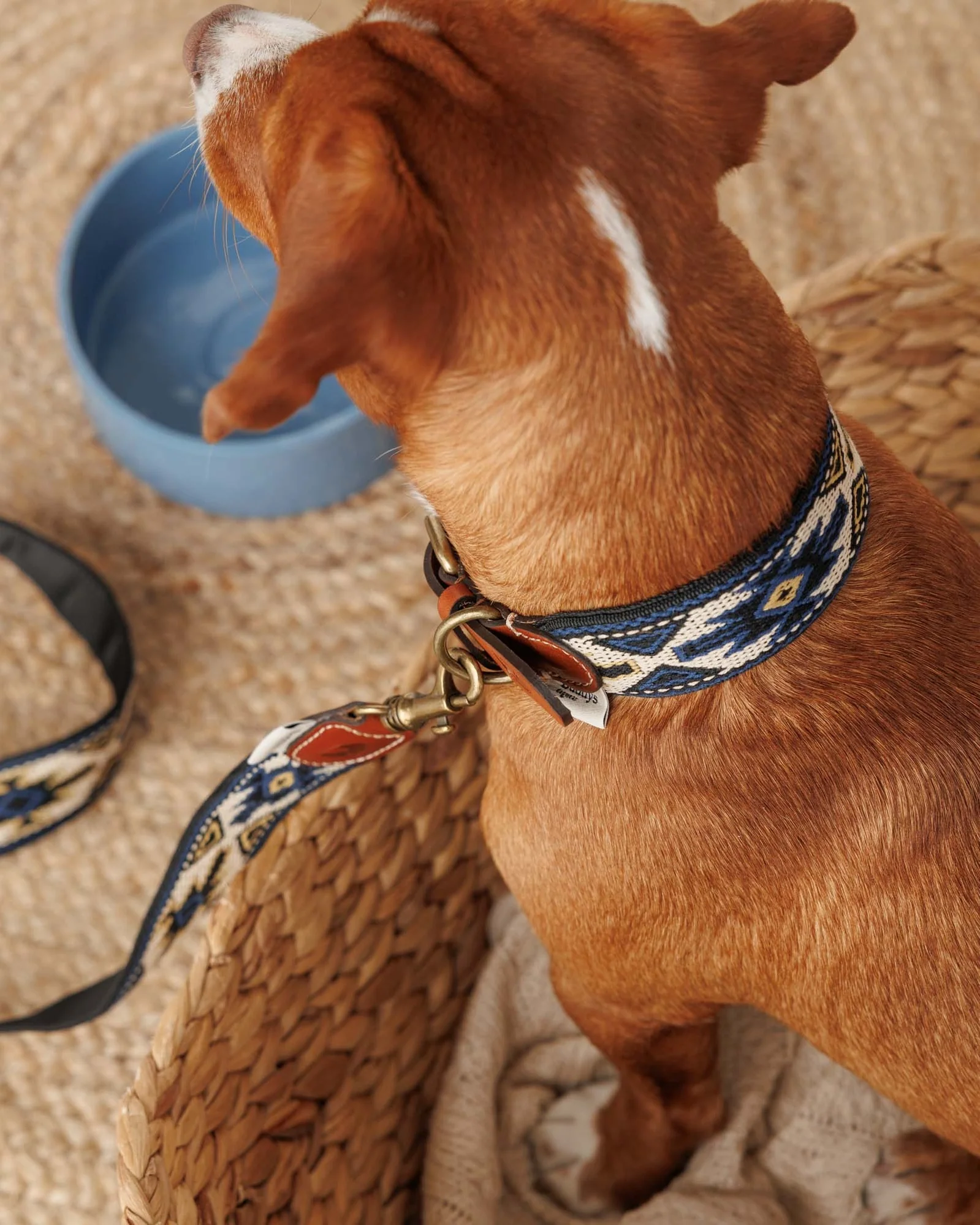 Buddys Dogwear Peyote Blue Dog Collar - Image 8