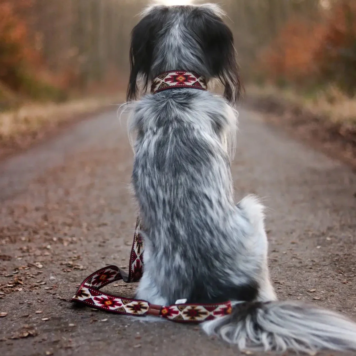 Buddys Dogwear Peyote Red 2m Adjustable Dog Lead