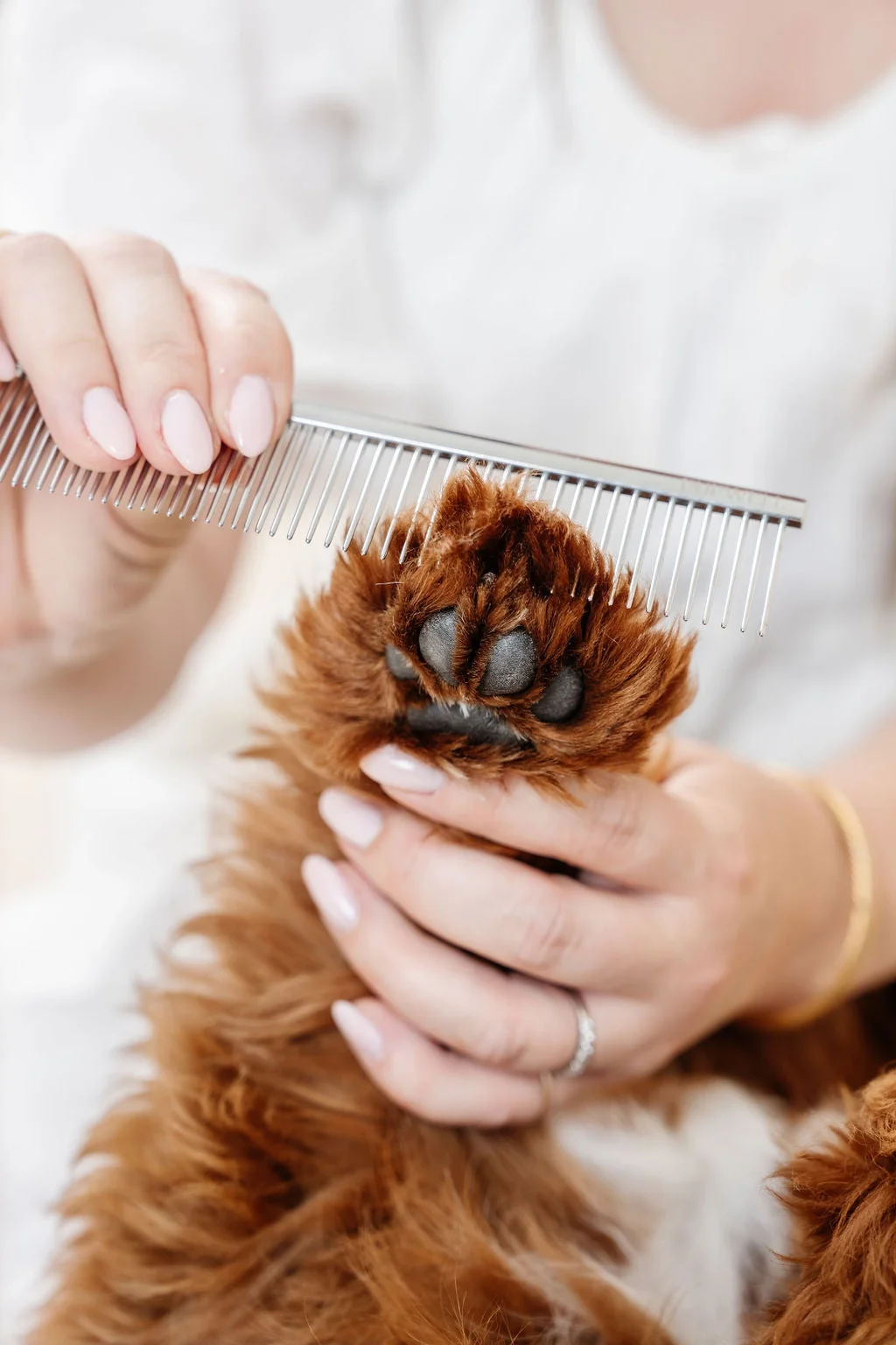 Pupwell Everyday Comb for Dog Grooming - Image 3
