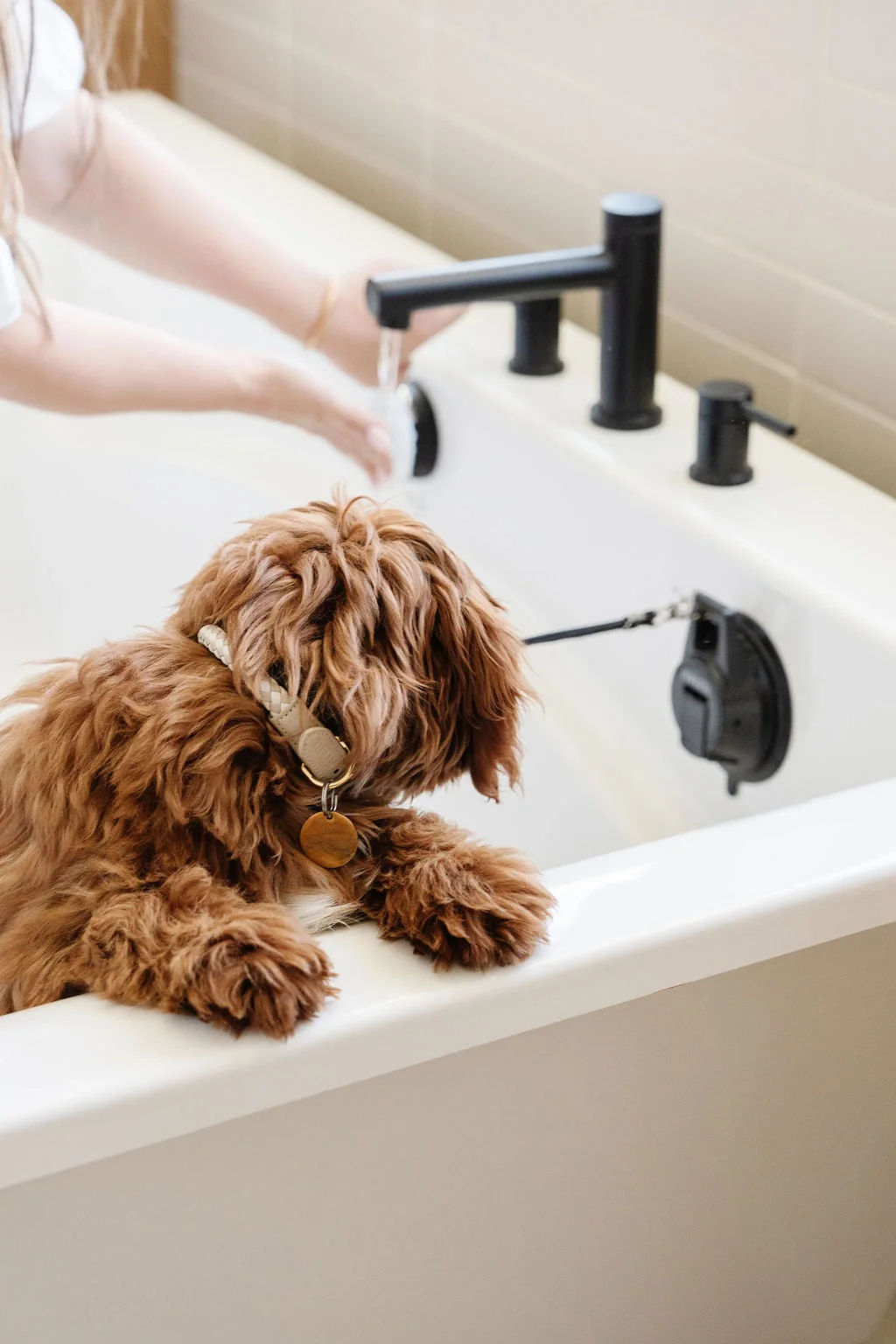 Pupwell Stay in One Place Lead for Dog Grooming & Bath Time - Image 5