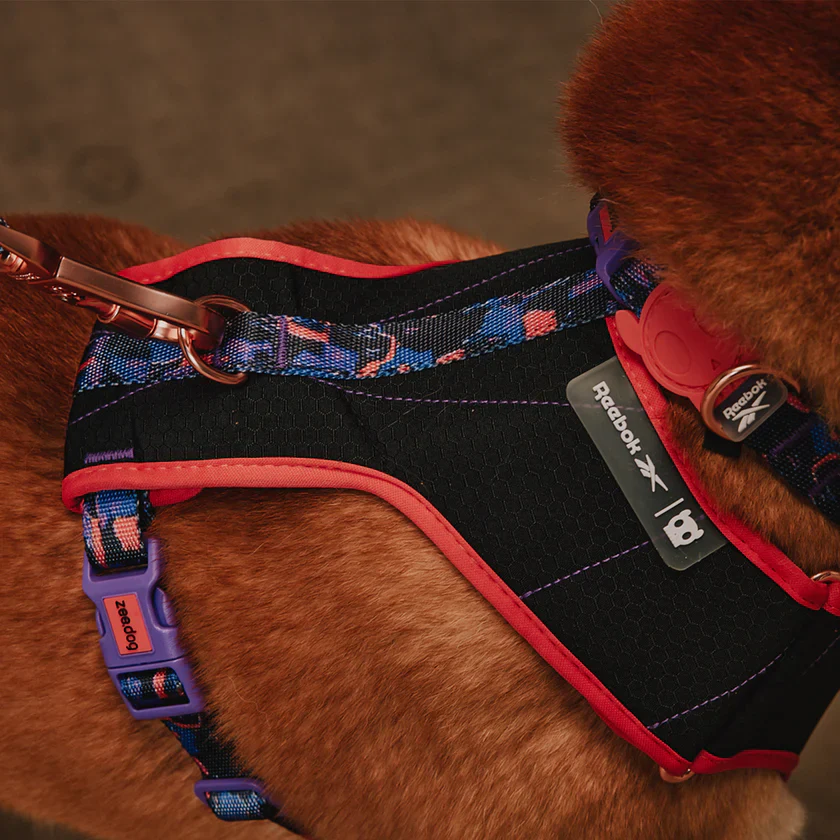 Reebok X Zee.Dog Adjustable Air Mesh Harness for Dogs - Court - Image 2