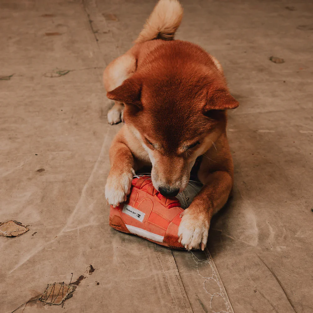 Reebok X Zee.Dog The Workout Plus Plush Dog Toy - Small - Image 6