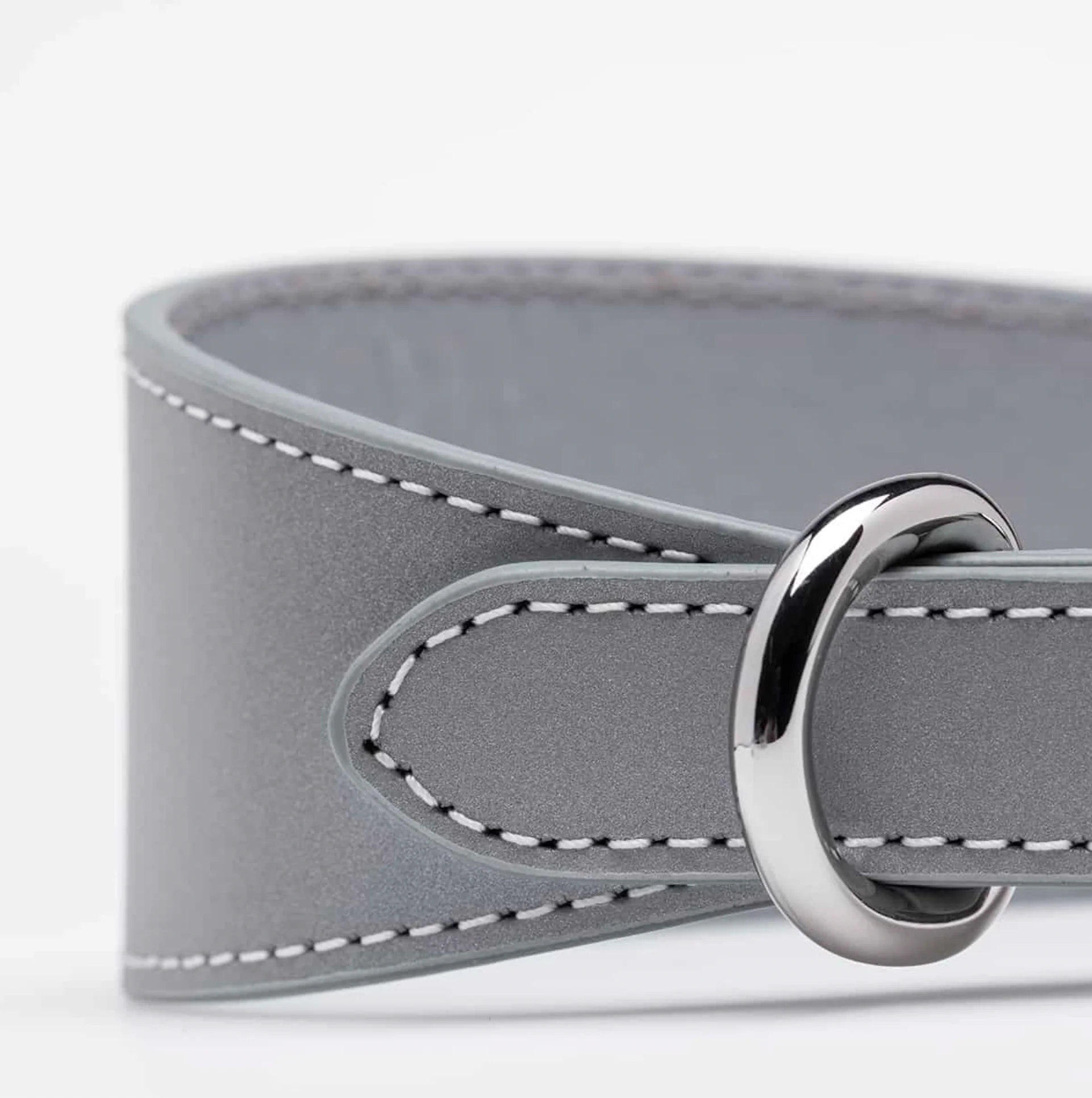 Reflex Vegan Dog Collar - Image 4