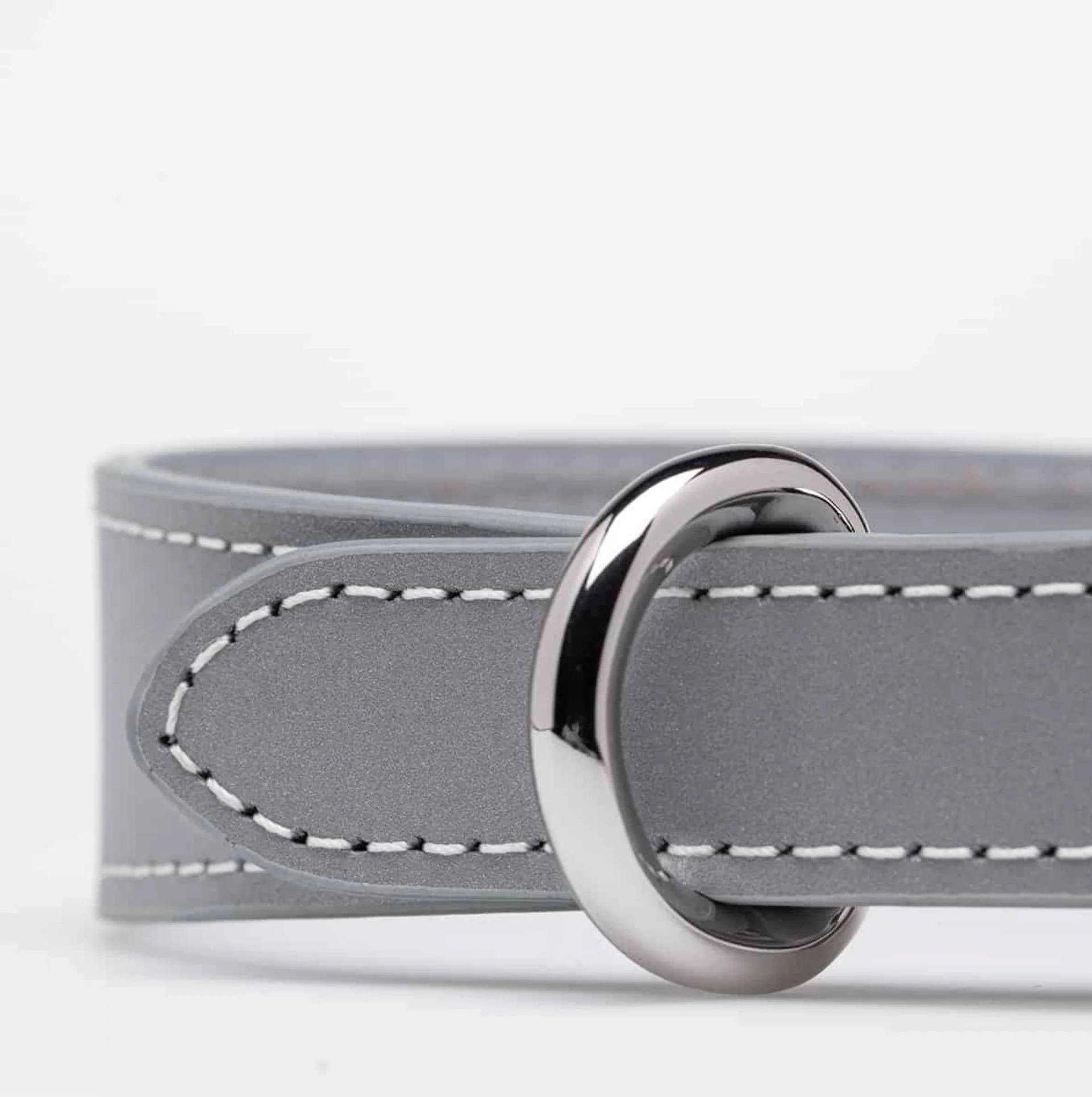 Reflex Vegan Dog Collar - Image 7